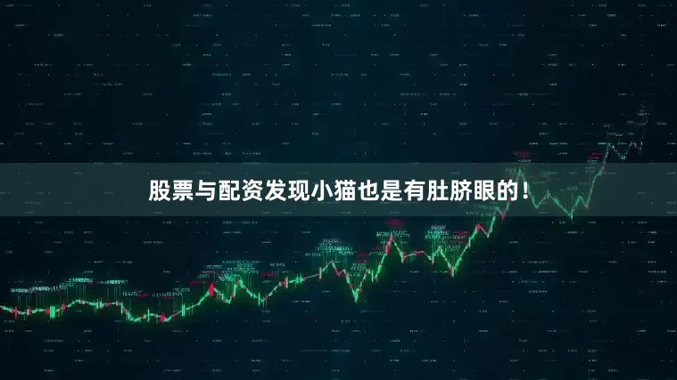 股票与配资发现小猫也是有肚脐眼的！