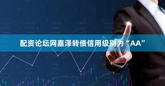 配资论坛网嘉泽转债信用级别为“AA”